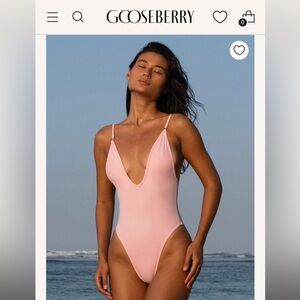Gooseberry Intimates “So Chic” Baby Pink One Piece Size XL